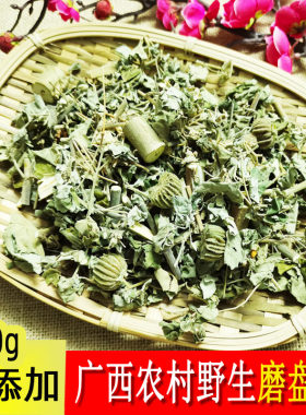 广西野生磨盘草500g包邮