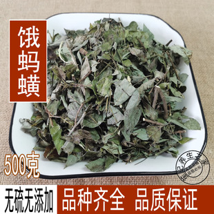 野生中药材饿蚂蟥500g红掌草 包邮