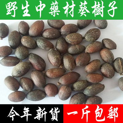 野生蒲葵500g包邮中药材