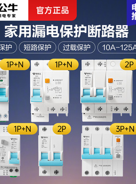 公牛空气开关漏电220v空开断路器总电闸控制保护器63A100A1P2P32A