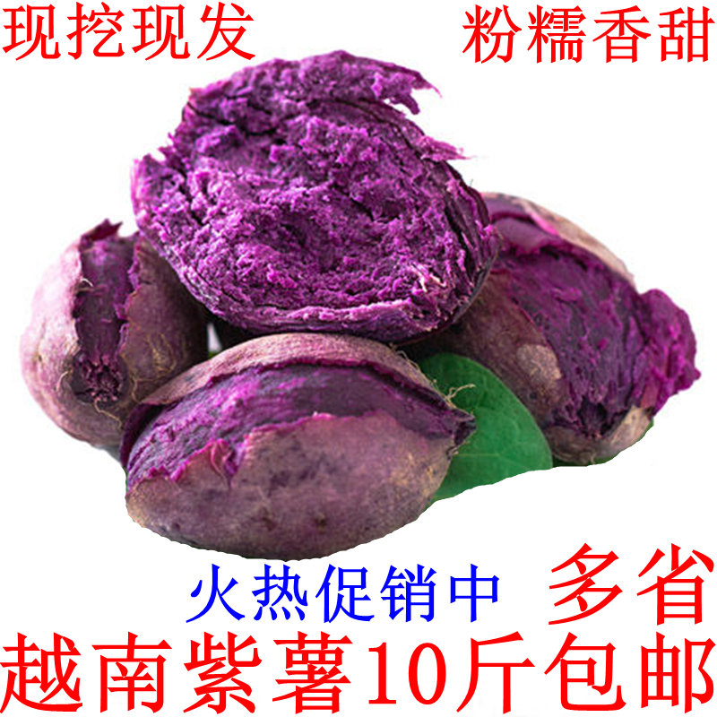 大紫薯10斤包邮粉糯香甜新鲜现挖地瓜云南香薯番薯红薯