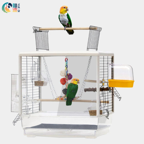 粤迪鹦鹉凯克大号透明pe17