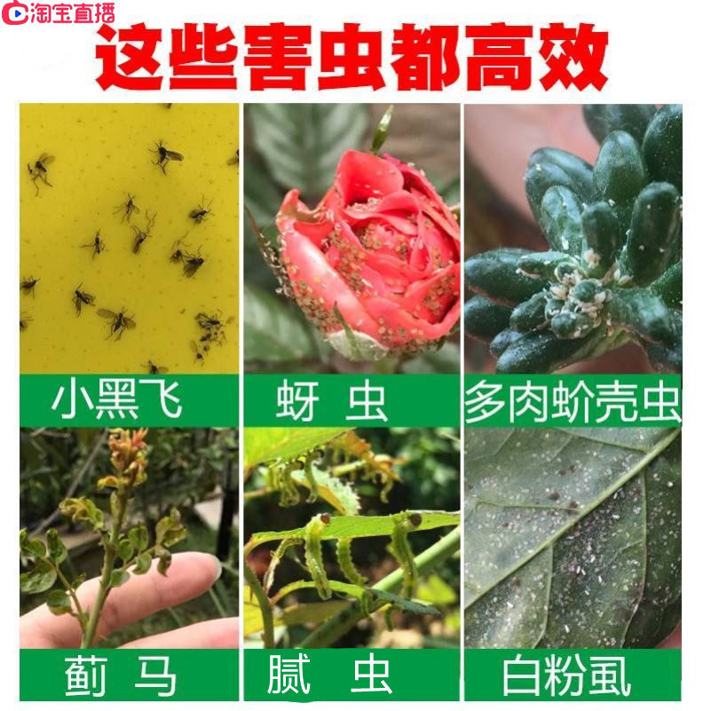 蚧壳虫发财树茉莉花多肉植物除虫杀虫剂花卉土壤腻虫绿植驱打虫药