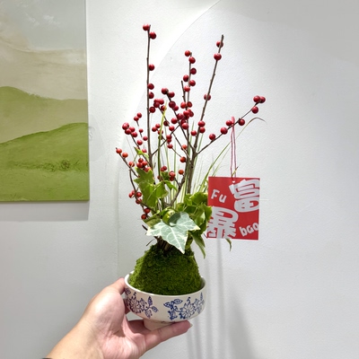 北美冬青带红果苔藓球盆栽