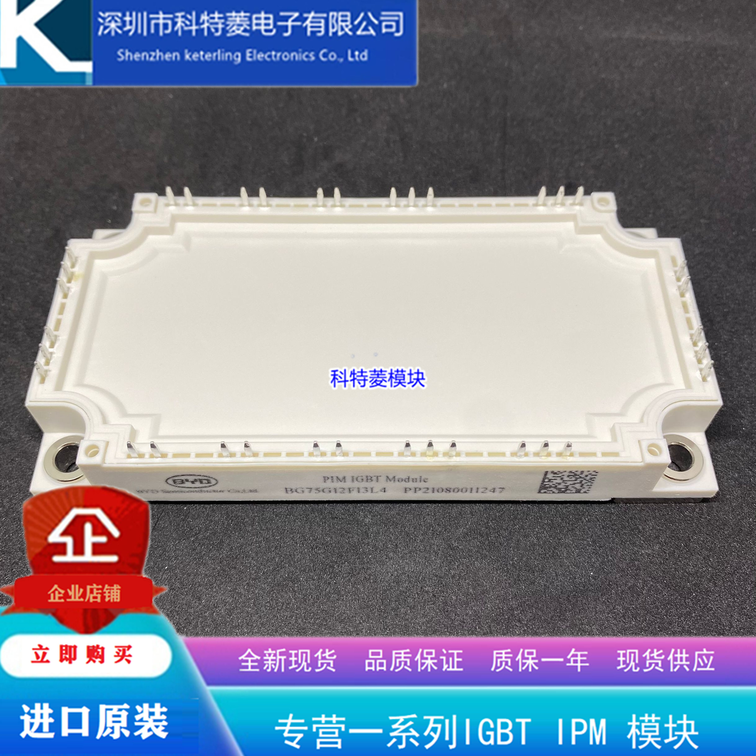 BG100G12F13L4模块变频器配件全