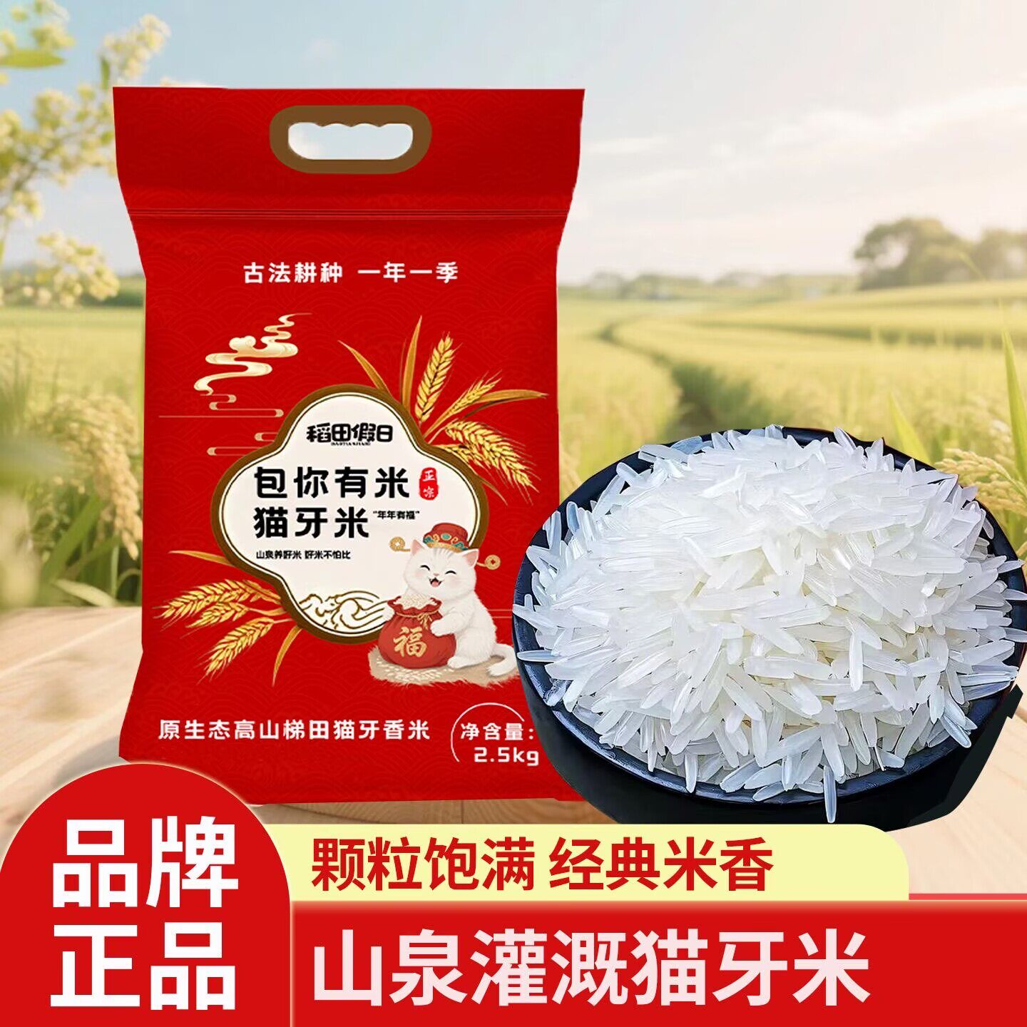 猫牙米新米煮饭煮粥大米台灣香港澳門包郵走集运仓糖尿病人杂粮米五谷杂粮糖尿病糖尿病控糖主食无糖食品零食大全糖尿病人食品粗粮