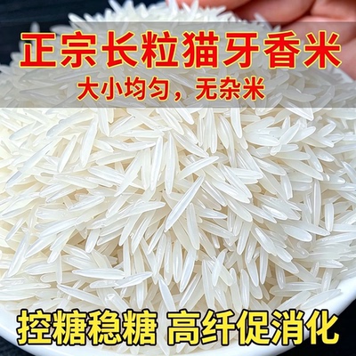 正宗长粒猫牙米糖尿病人杂粮米五谷杂粮糖尿病糖尿病控糖主食无糖零食大全糖尿病人专用代餐糖尿病老年人适合吃的食品糖尿病人零食