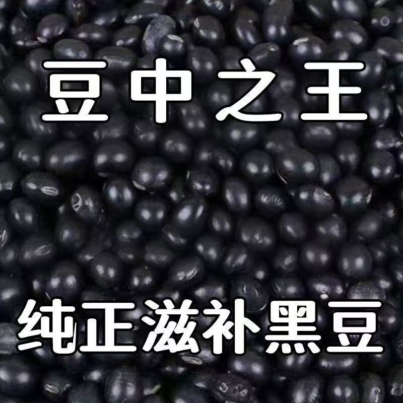 今年新黑豆糖病人专用食品养脾胃适合三高糖尿病孕妇控糖高血压患者吃专用主食无蔗糖零食营养食物代糖0卡糖木糖醇糖五谷杂粮