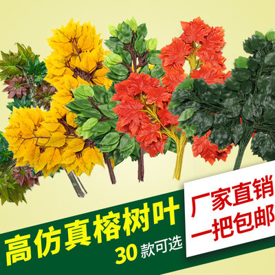 过胶塑料绿色植物银杏红枫榕树叶