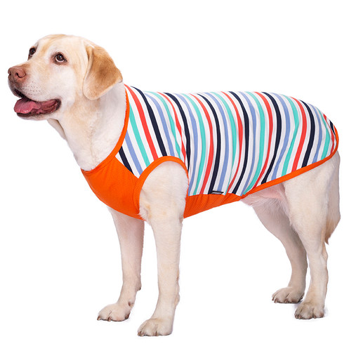 薄款金毛中型防晒背心