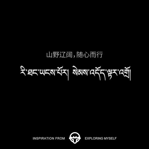 再变 山野辽阔,随心而行小众藏文草本纹身贴纸高级感手臂防水防汗