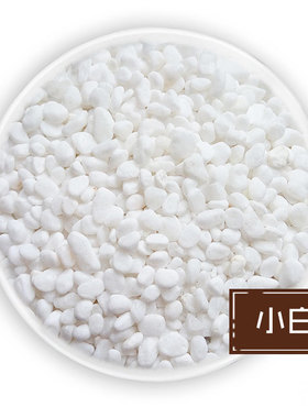 AK多肉花卉克拉拉 多肉种植 白石子 白色小石头园艺用品铺面