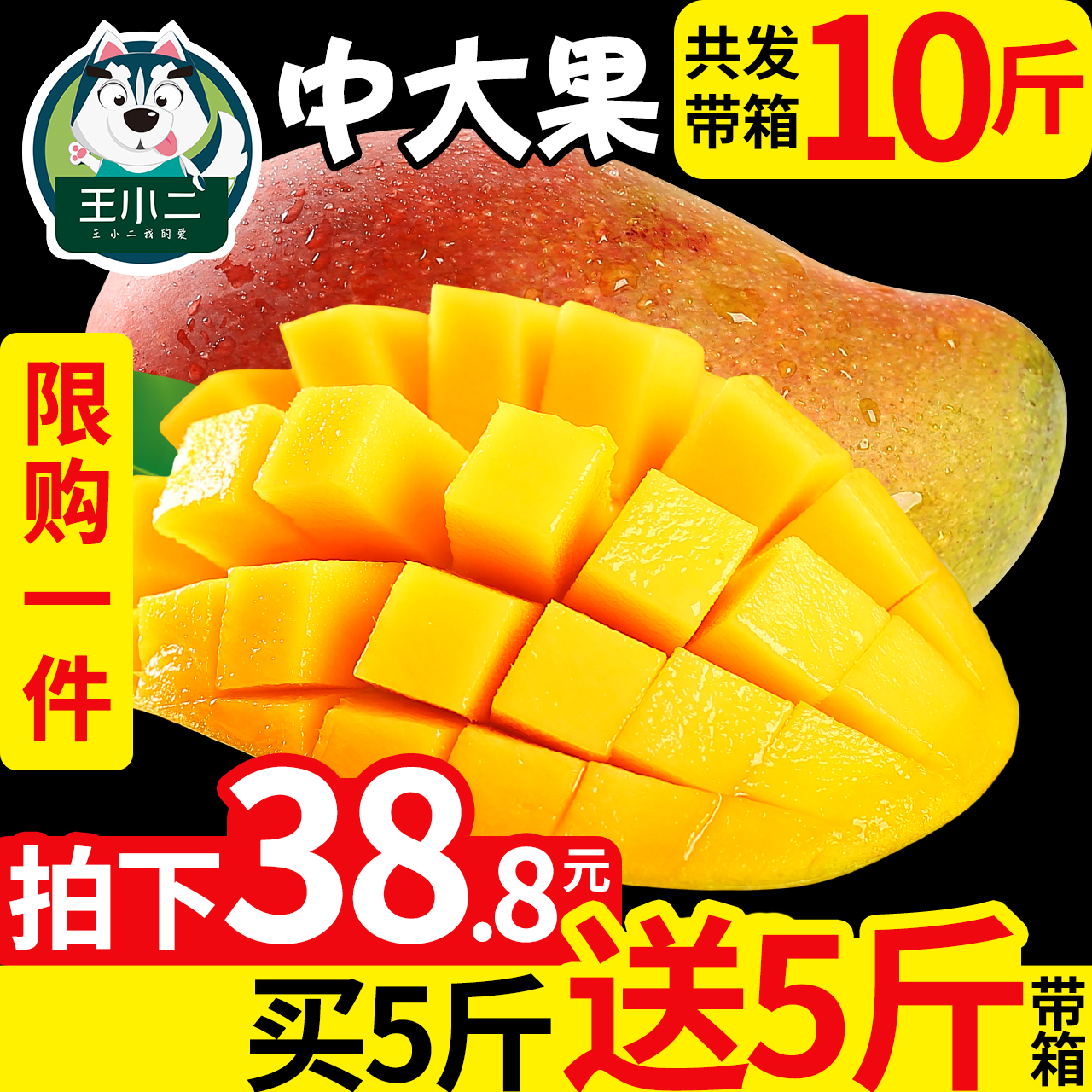 带你看骨科