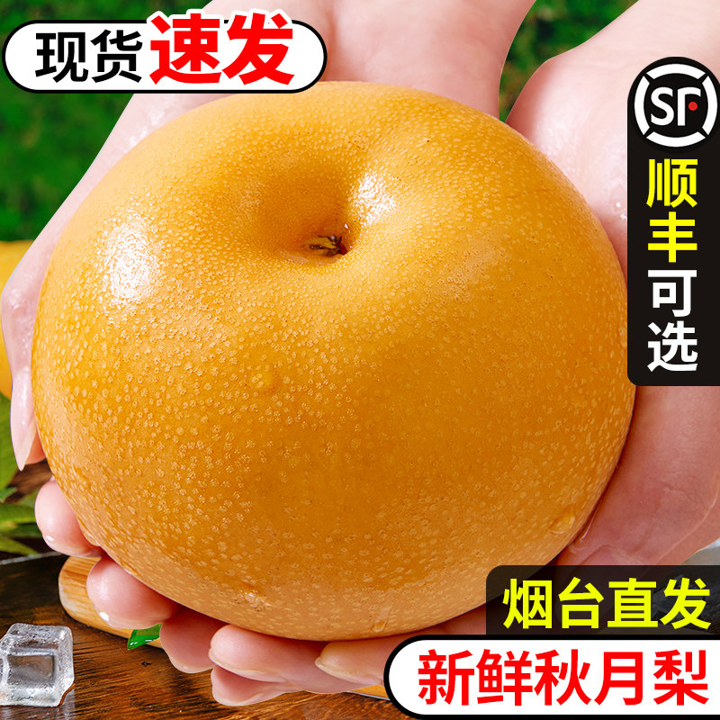 山东秋月梨正宗新鲜冰糖梨子甜现摘当季水果整箱包邮中秋礼盒斤10使用感如何?