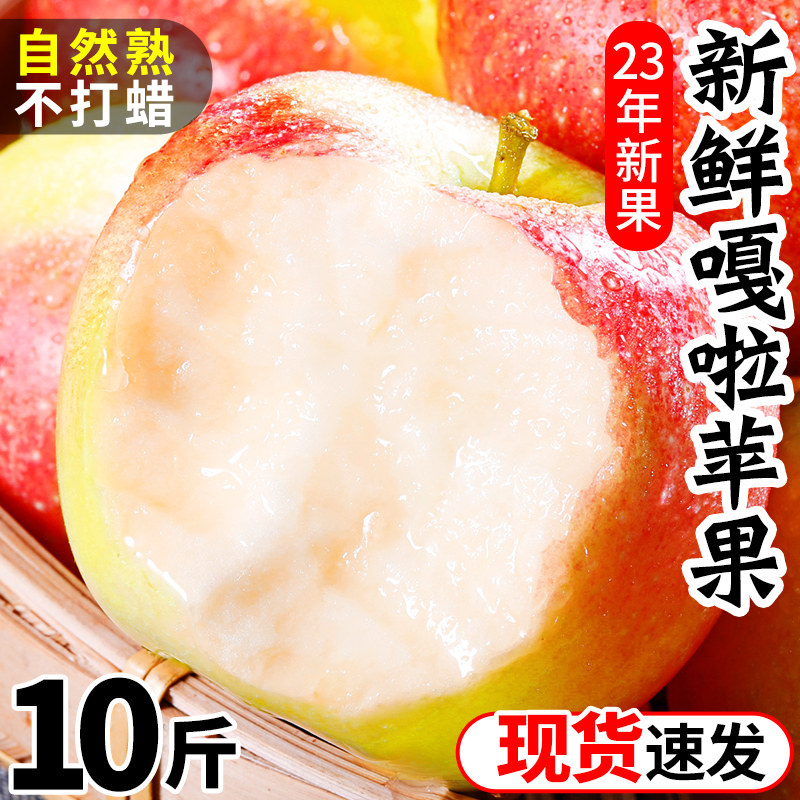 新鲜嘎啦苹果10斤装应当季水果特产青红富士脆甜冰糖心丑平果整箱_虎窝淘