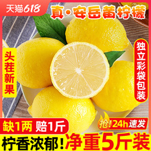 四川安岳黄柠檬5斤新鲜水果奶茶店专用皮薄一级香水甜柠檬无籽青6