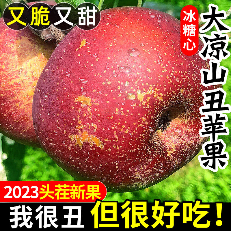 大凉山丑苹果10斤新鲜当季水果青盐源红富士冰糖心丑平果包邮整箱怎么看?