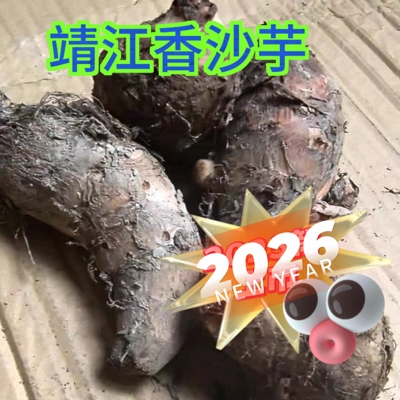 2026靖江正宗香沙芋头仔芋艿农家自种新鲜现挖 新鲜芋头2斤5斤装