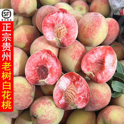 顺丰包邮贵州农家白花桃血桃5斤