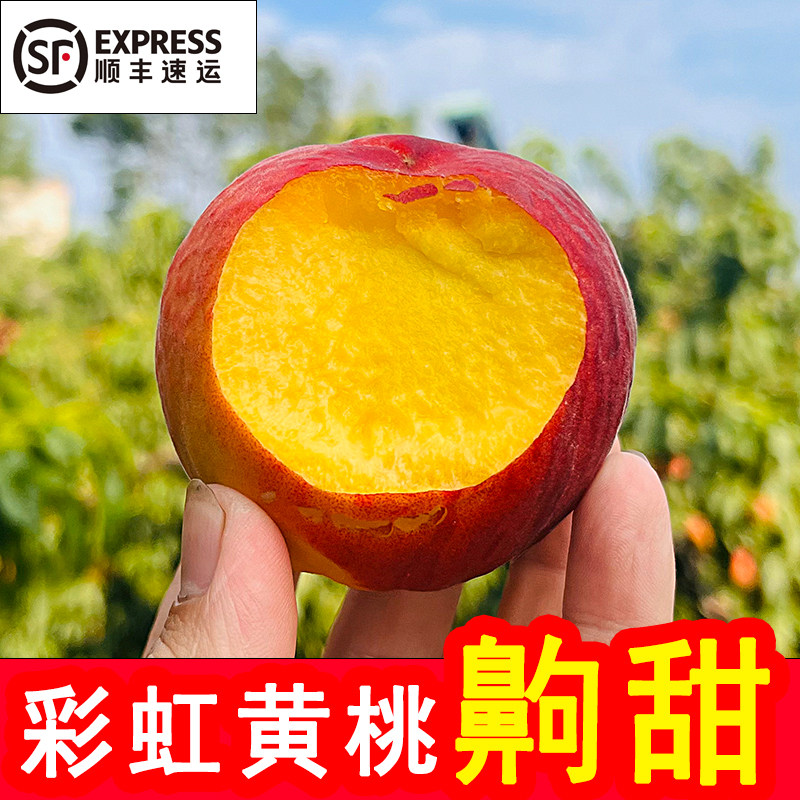 当季新鲜水果脆甜彩虹黄桃应季黄金蜜可做黄桃罐头非锦绣黄桃整箱