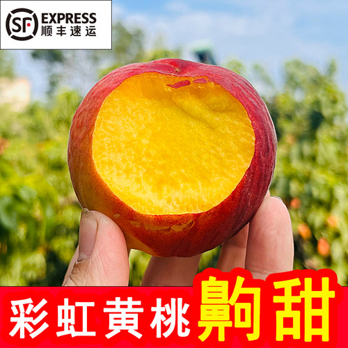 当季新鲜水果脆甜彩虹黄桃应季黄金蜜可做黄桃罐头非锦绣黄桃整箱