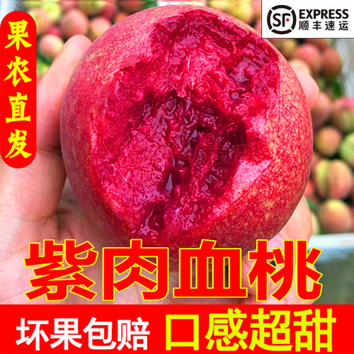 当季新鲜现摘红心水蜜血桃孕妇水果中华血桃5斤朱砂红桃子10包邮