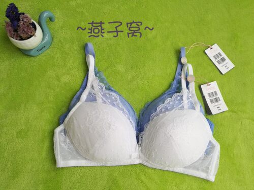 兰卓丽蕾丝无钢圈薄棉杯内衣