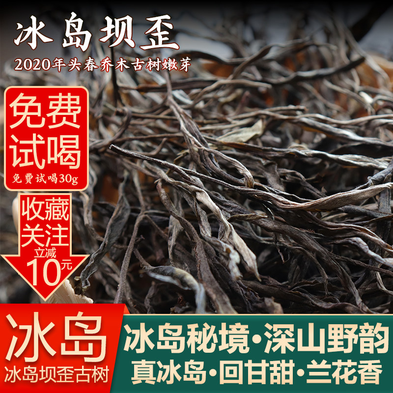 2020年冰岛坝歪普洱茶生茶古树特级散茶散装好茶口粮茶叶老茶