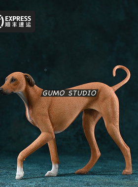GUMO现货细狗阿札瓦克犬手办Azawakh狩猎犬正版玩具公仔仿真模型