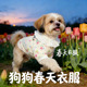 西施犬专用狗狗衣服春装 全棉纱透气宠物小型犬背心小狗春夏天 薄款