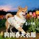 全棉纱透气宠物小型犬背心小狗春夏天季 柴犬专用狗狗衣服春装 薄款
