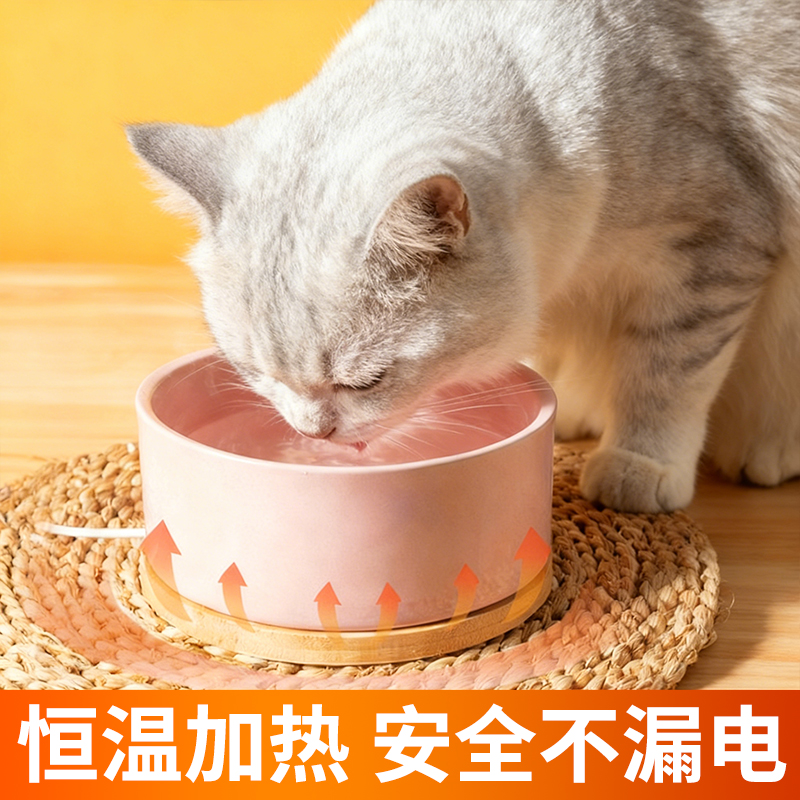 银渐层专用恒温猫咪饮水机宠物喝水酸奶机冬天喝水加热器陶瓷水碗