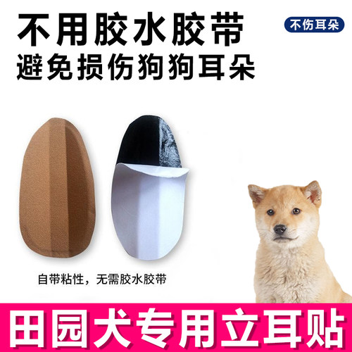 田园犬专用小狗立耳神器狗狗立耳贴用品立耳器支架辅助耳朵固定器