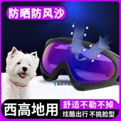 西高地专用狗狗眼镜小狗护目镜宠物配饰墨镜外出用品小型犬防沙风