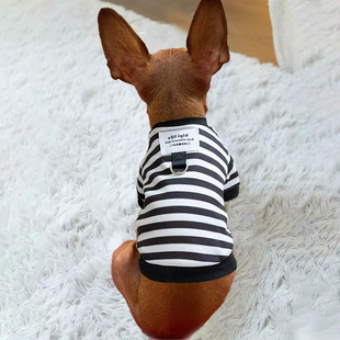 迷你杜宾小鹿犬专用狗狗衣服带牵引绳环秋冬天冬季小体鹿娃犬秋装