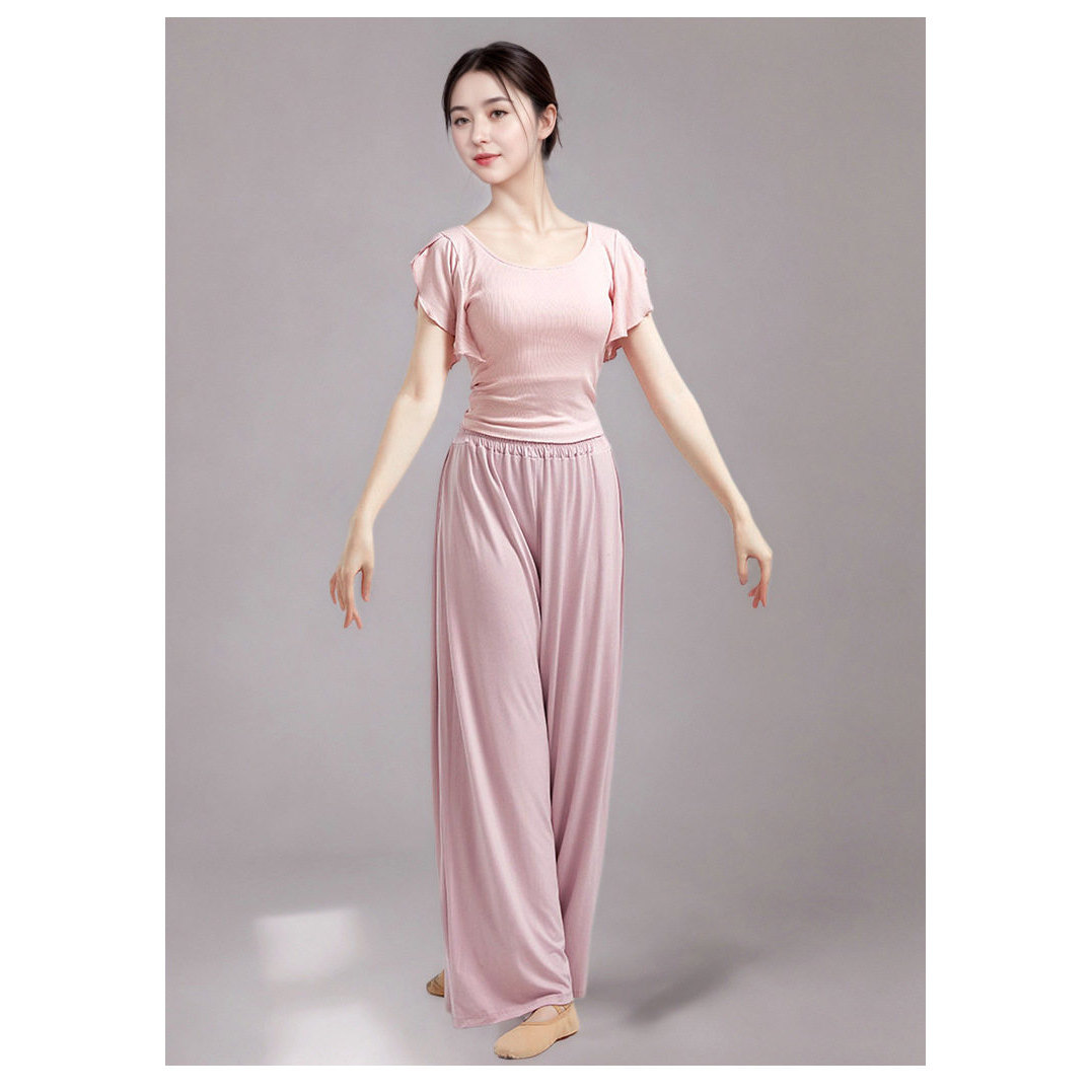 现代舞蹈服短袖美背显瘦上衣女中国古典舞芭蕾舞形体服练功服成人