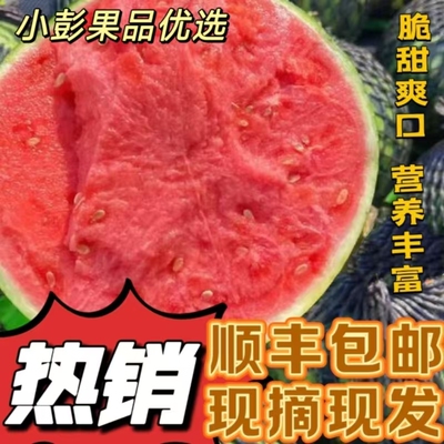 美都西瓜8424无籽麒麟美都西瓜