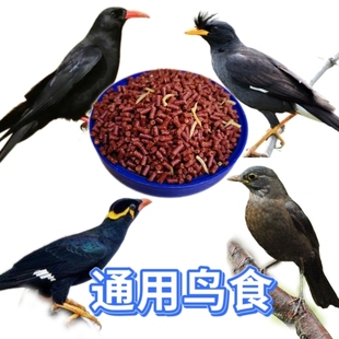 鹩哥鸟食乌鸫鸟百舌鸟八哥鸟饲料鸟食红嘴乌鸦饲料宠物鸟鸟食