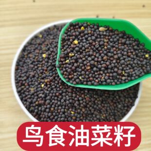 油菜籽鸟食饲料鸟粮鹦鹉芙蓉鸟玉鸟麻雀鸟文鸟金翅鸟食鸽子粮饲料