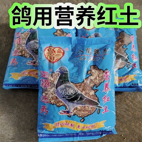鸽子福建速翔八闽保健沙
