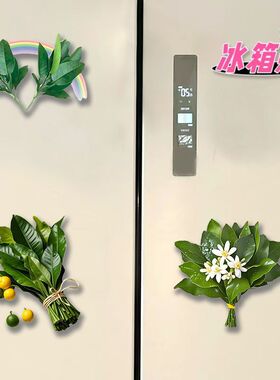 柚子叶去晦气亚克力装饰冰箱贴