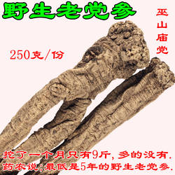 多年生野生老党参250克优选巫山庙党无硫川党上党参巫山特产包邮
