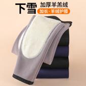 加绒加厚棉裤 冬季 德绒秋裤 打底内穿抗寒羊毛裤 保暖裤 护膝绒裤 男士