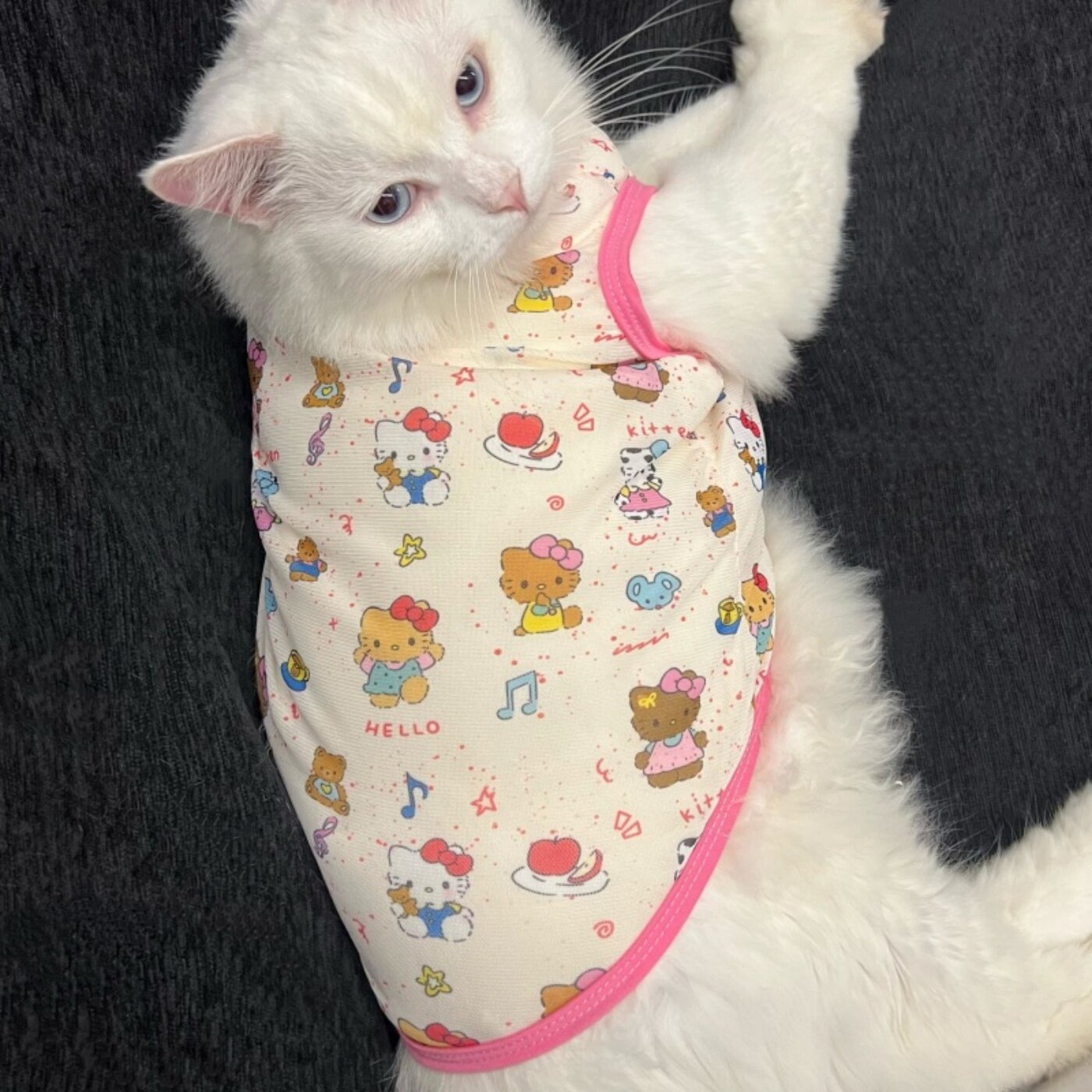 网纱布黑皮凯蒂猫宠物猫咪衣服夏季薄款透气可爱无袖背心式防掉毛