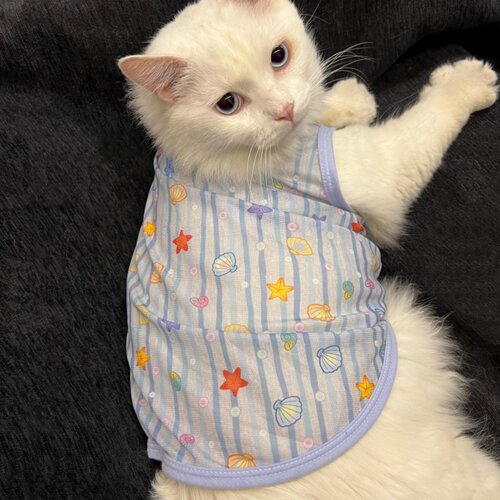 网纱布猫咪衣服无袖背心薄款轻薄
