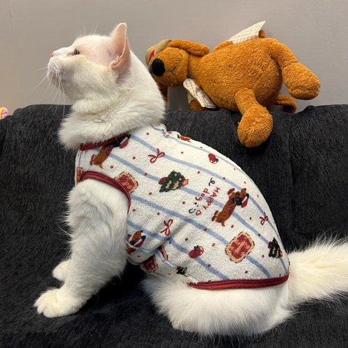 圣诞腊肠狗猫咪衣服无袖背心加绒