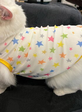 星星图案猫咪衣服无袖背心网纱布