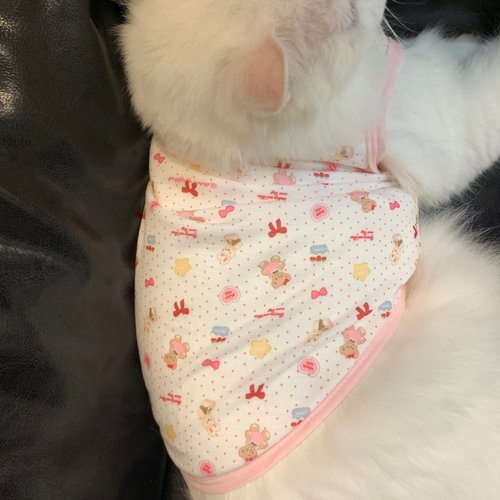 可爱猫咪衣服无袖吊带背心春秋款