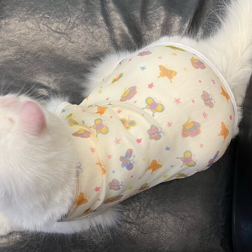 超透气猫咪衣服背心式网纱布薄款