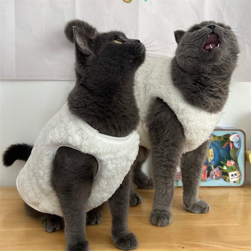 秋冬季保暖英美短银小奶猫背心